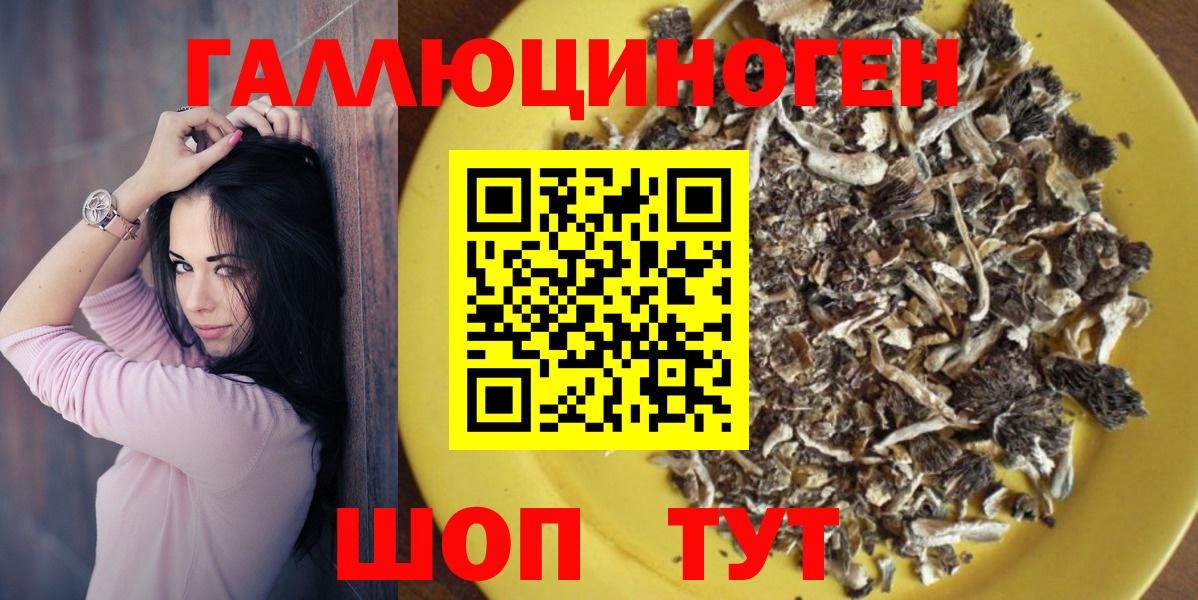 Галлюциногенные грибы Cubensis  Вход с VPN  купить   Нурлат  Галлюциногенные грибы GOLDEN TEACHER 